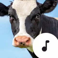 Cow Sounds APK download