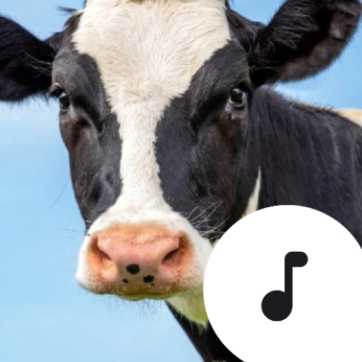 Cow Sounds & Mooing
