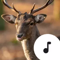 Deer Sounds APK Herunterladen