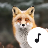 Fox Sounds ícone