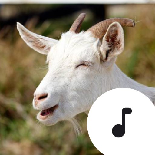 Goat Sounds & Bleating