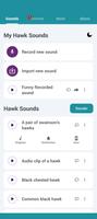 پوستر Hawk Sounds