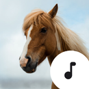 Horse Sounds APK