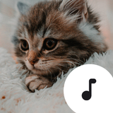 Kitten Sounds simgesi