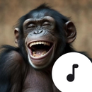 Monkey Sounds APK