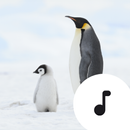 Penguin Sounds & Calls APK