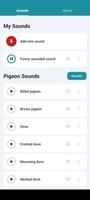 Pigeon Sounds পোস্টার