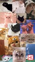 Cute Cat Wallpaper ảnh chụp màn hình 2