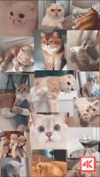 Cute Cat Wallpaper ảnh chụp màn hình 3
