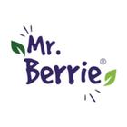 Mr Berrie icône
