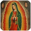 La Santa Virgen De Guadalupe Imagenes