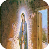 Virgen De Guadalupe Rosas biểu tượng