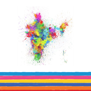 Indian Paints Colors APK