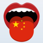 Learn Chinese Phrasebook icono