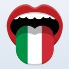 Learn Italian Phrasebook ícone