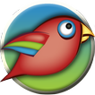 Jungly Birds
