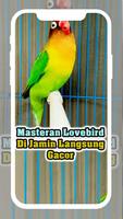Masteran Lovebird Ampuh MP3 Offline capture d'écran 2