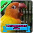 Masteran Lovebird Ngetik Ngekek Offline APK