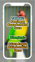 Masteran Lovebird Ngetik Ngekek Offline Screenshot 2