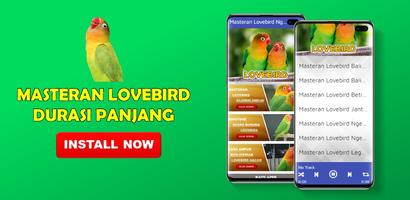 Masteran Lovebird Ngekek Durasi Panjang Plakat