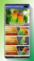 Masteran Lovebird Ngekek Durasi Panjang Screenshot 1