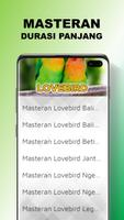 Masteran Lovebird Ngekek Durasi Panjang Screenshot 2