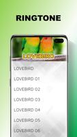 Masteran Lovebird Ngekek Durasi Panjang Screenshot 3