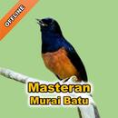 Masteran Murai Batu Ampuh Durasi Panjang APK