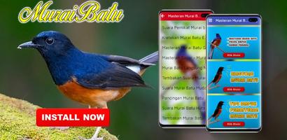 Masteran Murai Batu Ampuh Durasi Panjang Plakat