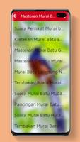 Masteran Murai Batu Ampuh Durasi Panjang Screenshot 2