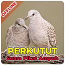 Kicau Burung Perkutut Lengkap Offline APK