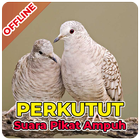 Kicau Burung Perkutut Lengkap Offline Zeichen