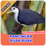 Suara Pemikat Burung Ruak Ruak Ampuh Offline иконка