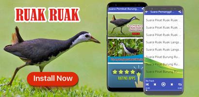 Suara Pemikat Burung Ruak Ruak Ampuh Offline gönderen