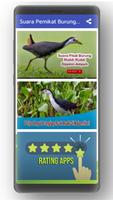 Suara Pemikat Burung Ruak Ruak Ampuh Offline Ekran Görüntüsü 1