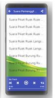 Suara Pemikat Burung Ruak Ruak Ampuh Offline Ekran Görüntüsü 2