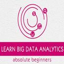 Big Data Analytics Tutorial Pro APK