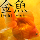 Gold Fish 3D icône