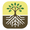 生根建造 Rooted In Christ 圖標