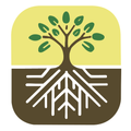 生根建造 Rooted In Christ