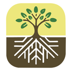 生根建造 Rooted In Christ आइकन
