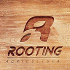 Rooting icône