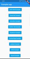 Flutter Example App poster