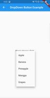 Flutter Example App screenshot 2