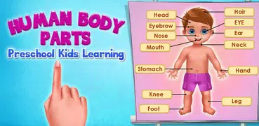 Human Body Parts - Kids Games