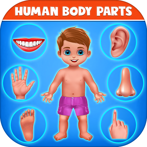 人間の体の部分-就学前の子供たちの学習