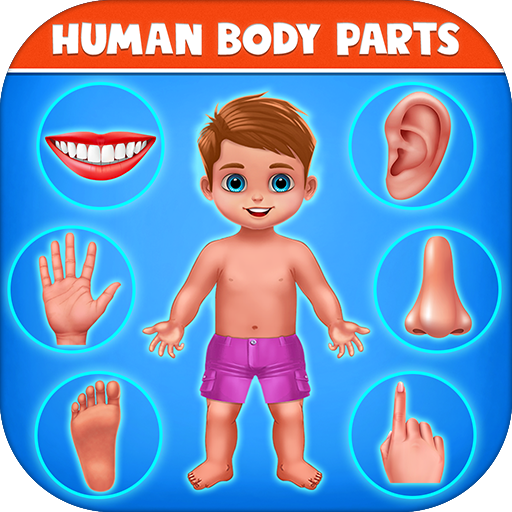 human body parts preschool kids learning apk 24