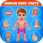 人間の体の部分-就学前の子供たちの学習 アイコン