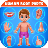 Menselijke lichaamsdelen icône