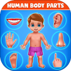 Human Body Parts 아이콘